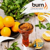 Табак Burn Lemon Mint (Лимон Мята) 25г Акцизный